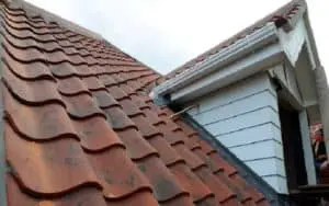 Bats can crawl between the spaces left by a tile roof