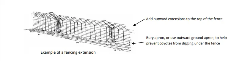 Coyote Proof your fencing 