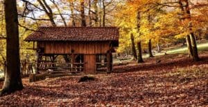 How to keep chickens away from the porch (1)