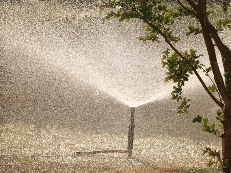 Best motion activated sprinklers