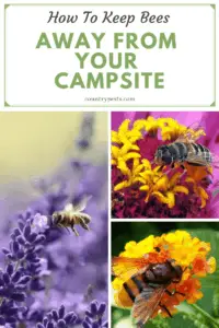 Keep bees away while camping (1)