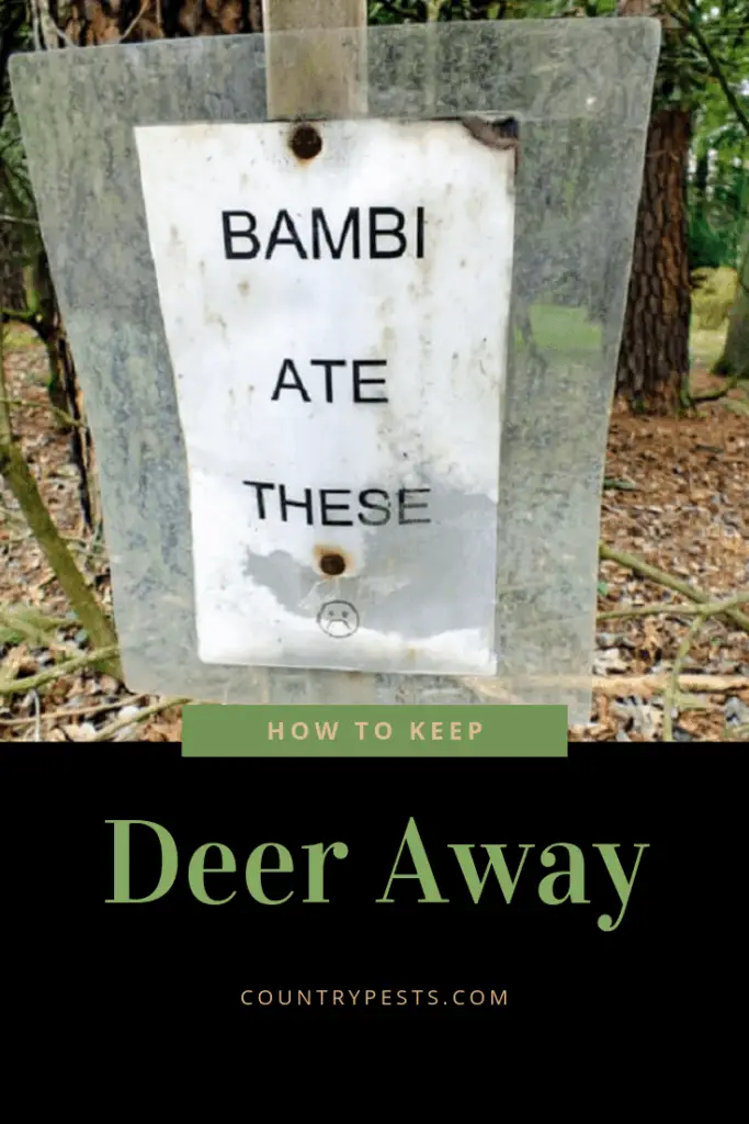 21 Easy Ways To Keep Deer Away From Your Yard, Flowers, & Garden