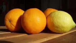 Oranges and Lemons keep ants away (1)