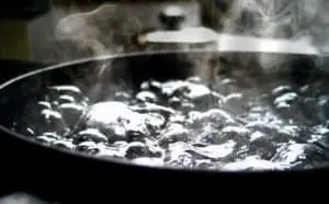 boiling water will kill ant colonies (1)