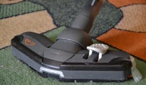 vacuum often to disrupt bed bugs 