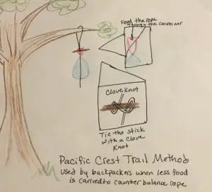 Pacific Crest TraHow to hang a bea bag. Pacific Crest Trail Method backpacking food safety (1)